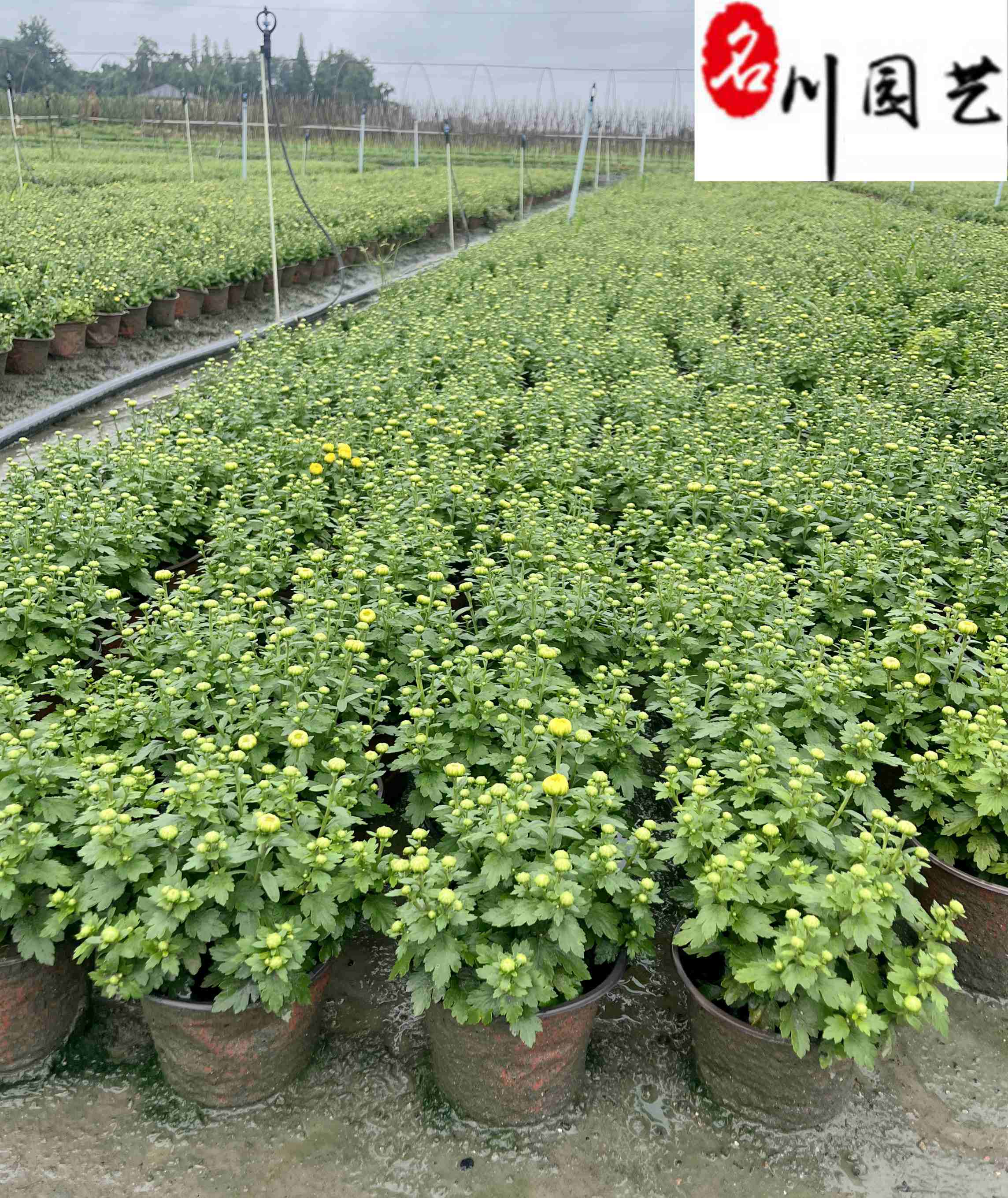 �Ĵ�����ջ�����������Ӧ����ձ������硢����ռ۸�
