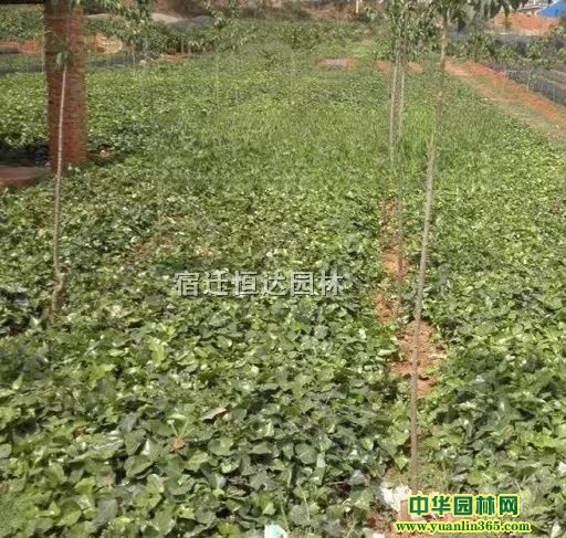 5-10���ֳ�����