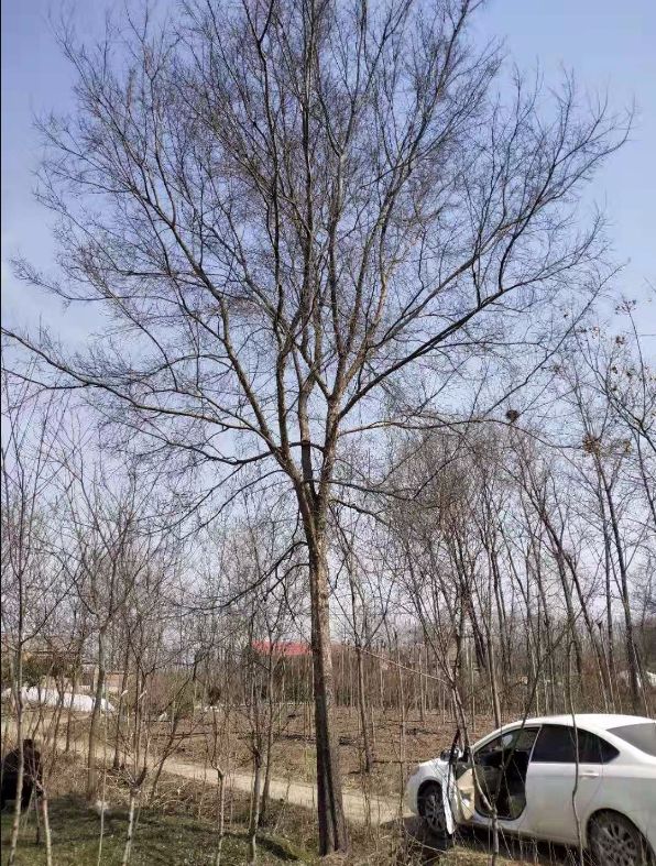 ��Ӧ���ܡ�����8-30�������ܼ۸�����