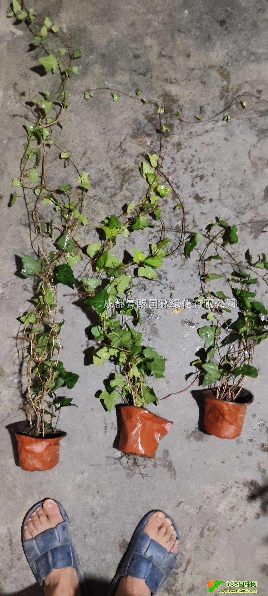 �����ٱ��硢14���������������ء������ٹ��������