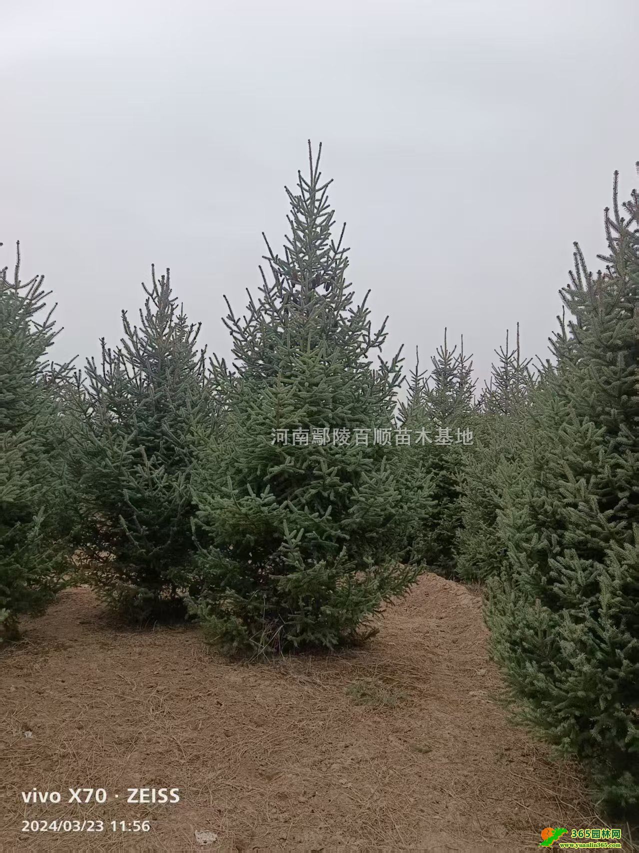��ɼ����ɼ���ء���ɼ���ҡ���ɼС�硢��ɼ1-6��