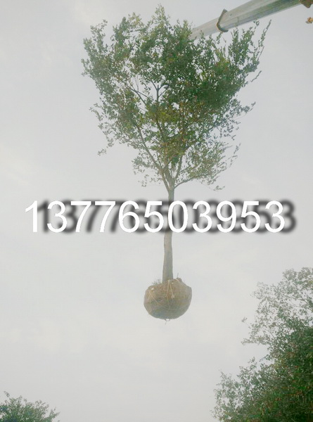 13��15��18���������۸�2017����������