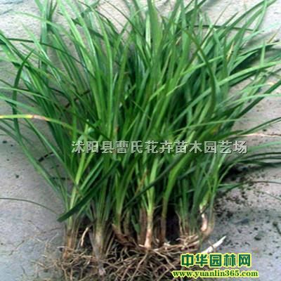 �β��������«έ���󶬡�ʯ�񡢽�������ݡ�����