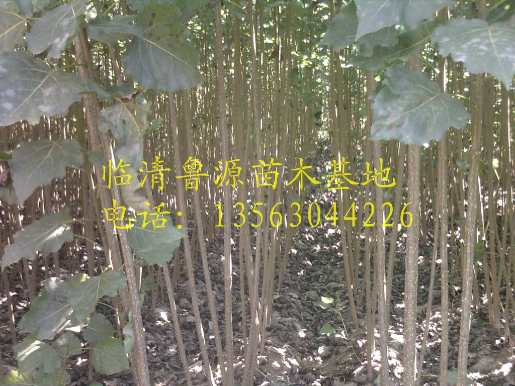 1000�ص�107������