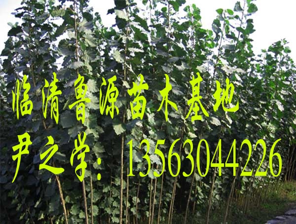 3-5��107������