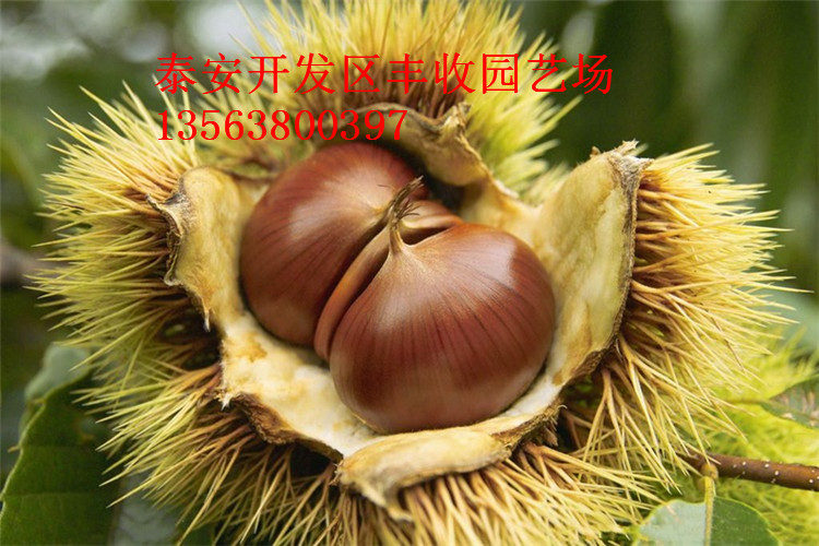 ����������۸����ݻ�������硢1�׸߻��������