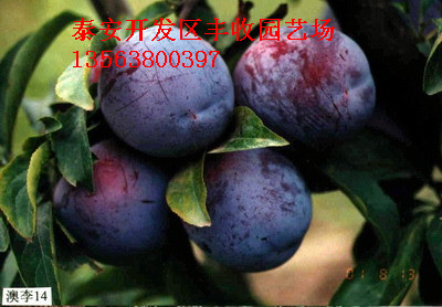 �����޽������硢�Ĵ�����14�š��Ĵ�����13��������۸�