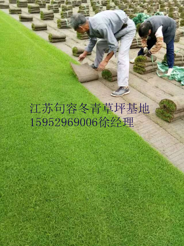 ����ݲ�ƺ����Ƥ