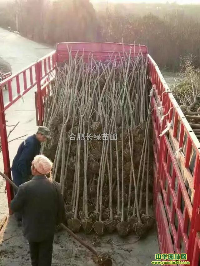 �������Ƿ㡢����������������Ҷ��������ܡ����ջ���ľ�۸�ͼ
