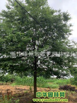 ���10��18���־�Ʒ��