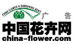 http://www.china-flower.com
й