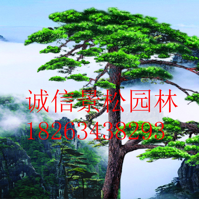 ɽ��ʡ�����г��ž���԰��